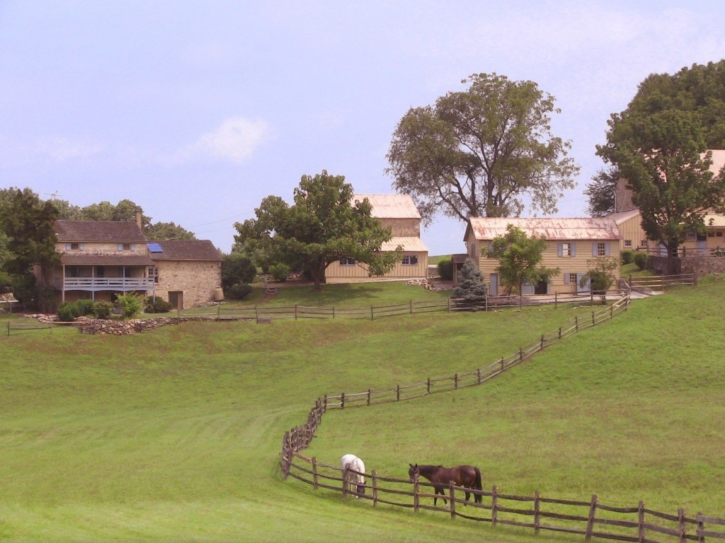 IMG_0113chs gillbrtcolor