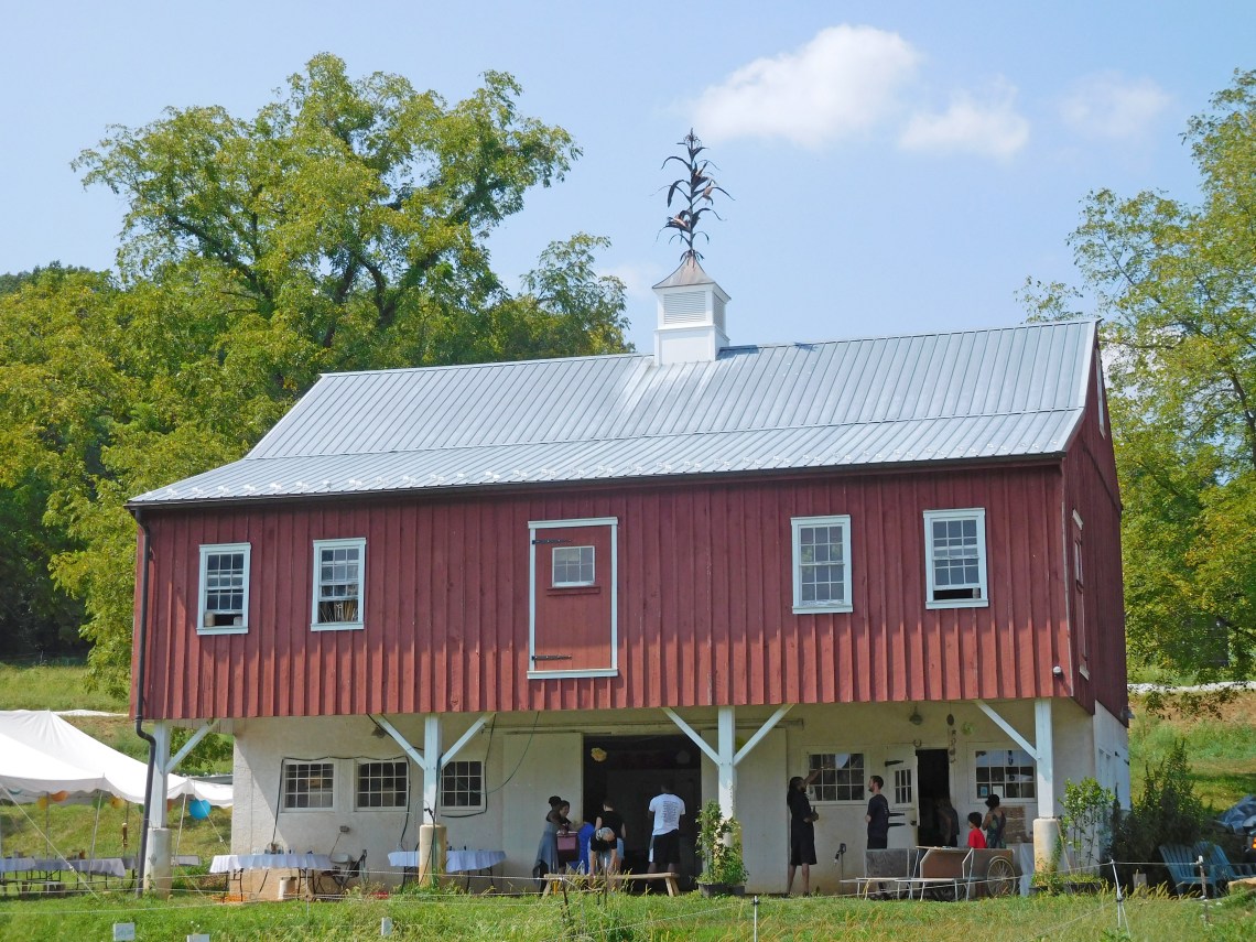 8-p-e-apr-csa-farm-flowers-013-shadow-lit